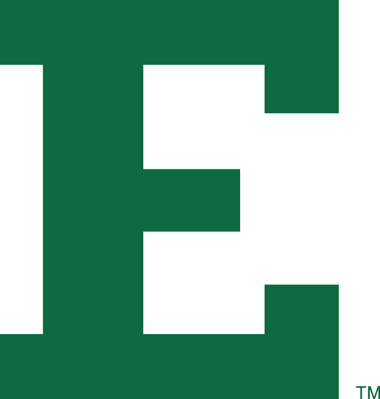 Eastern Michigan Eagles 1995-2001 Alternate Logo iron on transfers for T-shirts